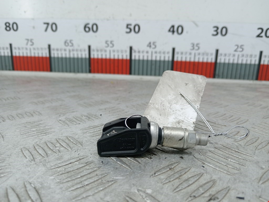 Датчик давления в шине BMW X5 (G05) (2018-2023)