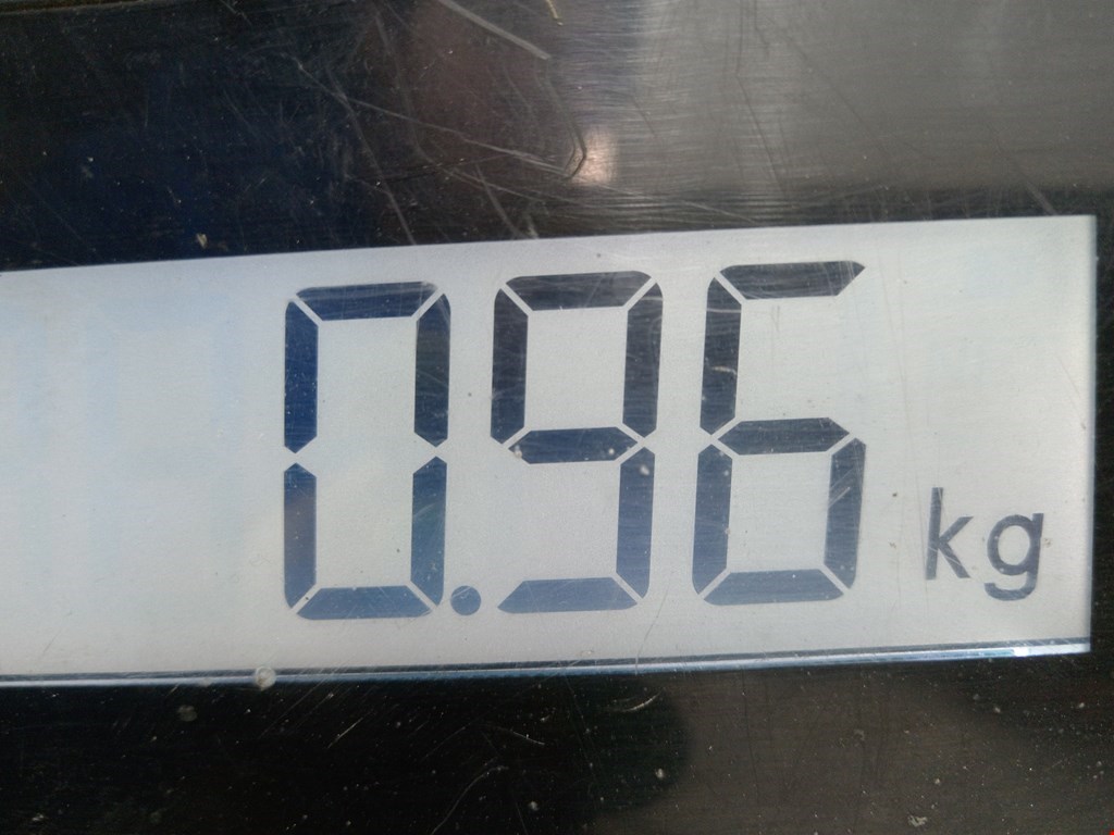 Сигнал звуковой (гудок клаксон) VOLKSWAGEN Beetle A4 1998-2010