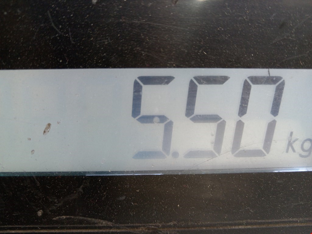 Усилитель переднего бампера (передний) MINI Hatch R50/R53 3-door 2001-2006