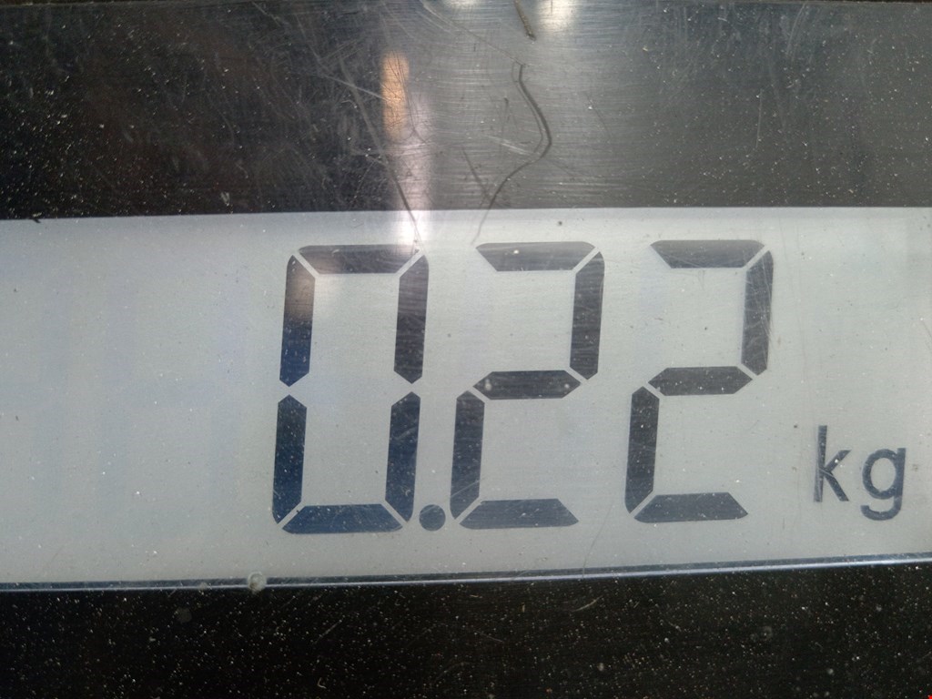 Сигнал звуковой (гудок клаксон) RENAULT Master 2010-н.в.