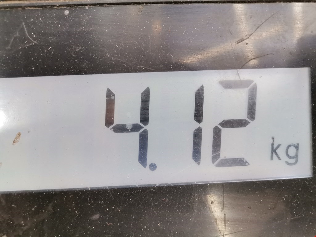 Усилитель переднего бампера (передний) RENAULT Scenic III 2010-2015