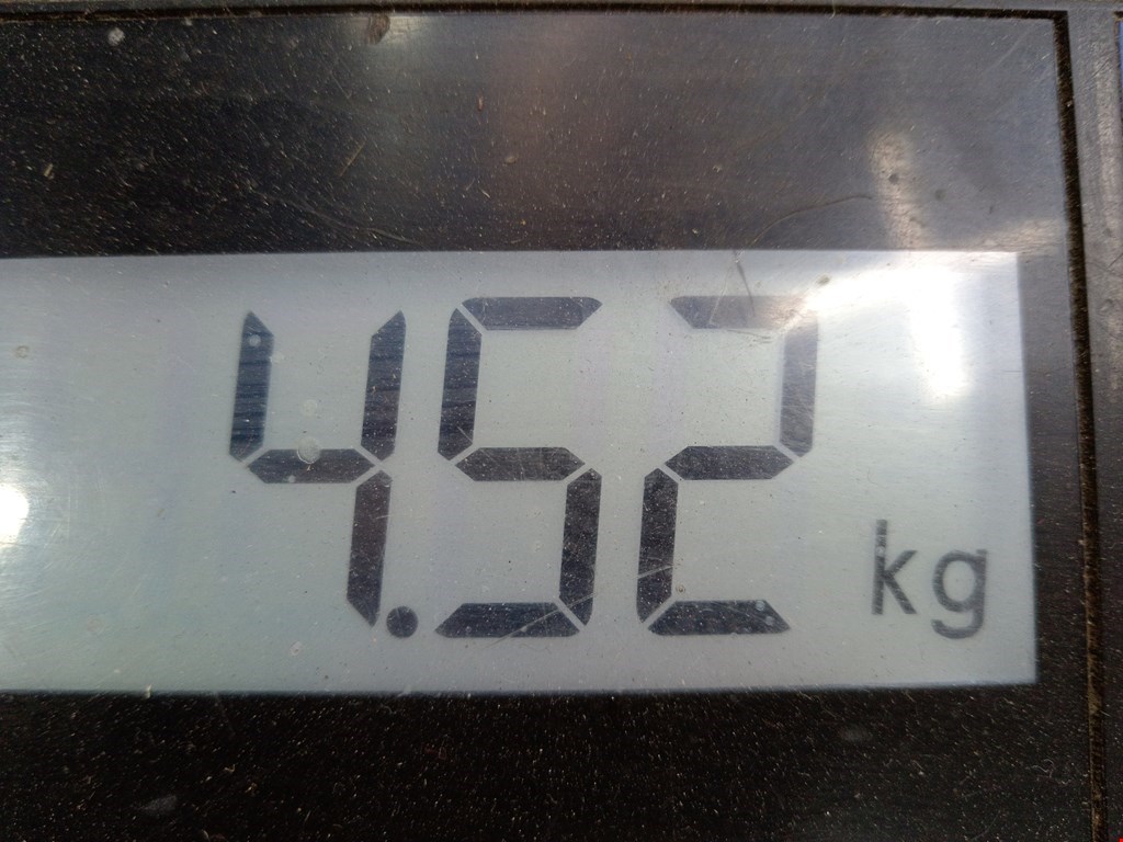 Бампер передний RENAULT Megane I 1996-2002