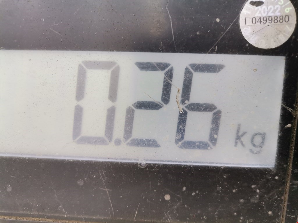 Сигнал звуковой (гудок клаксон) VOLKSWAGEN Lupo 1999-2005