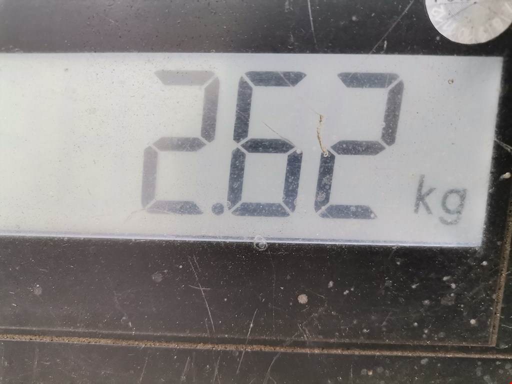 Фара правая MERCEDES-BENZ R-Class W251 2005-2017