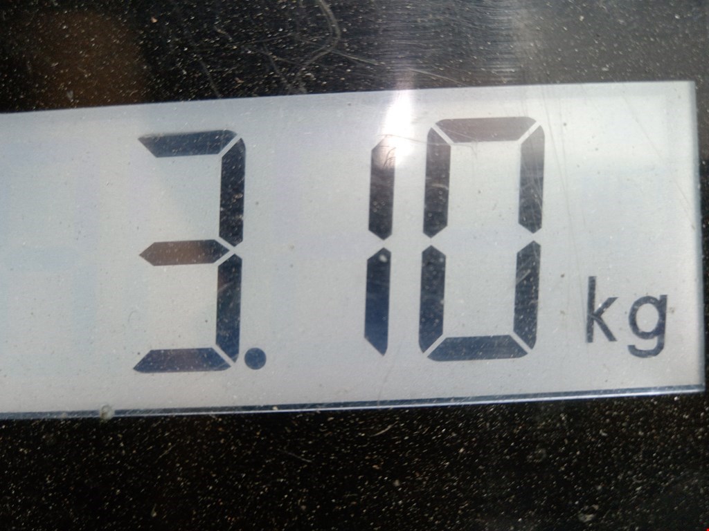 Вентилятор радиатора основного CITROEN Jumpy 2007-2016