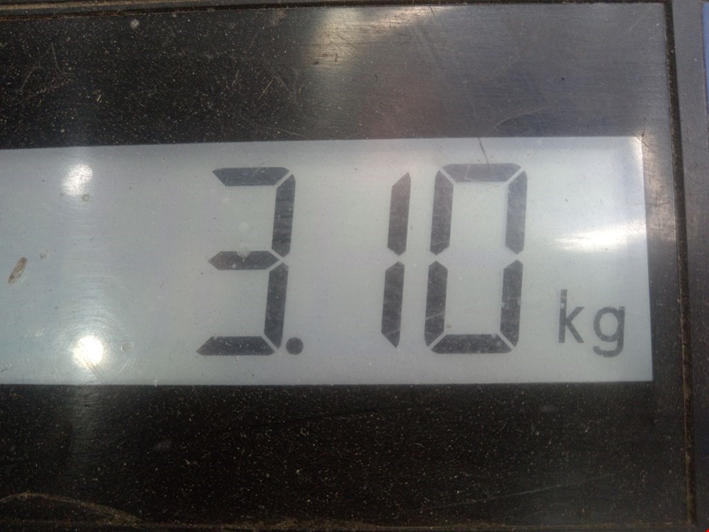 Усилитель переднего бампера (передний) AUDI A4 B6 2001-2005