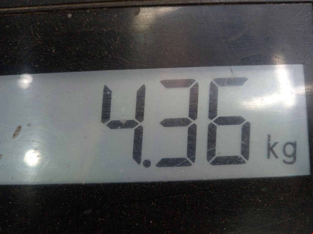 Усилитель переднего бампера (передний) AUDI A4 B6 2001-2005