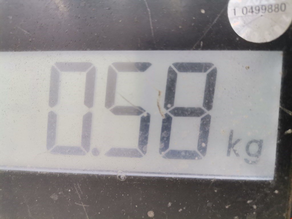 Сигнал звуковой (гудок клаксон) MAZDA Mazda 6 GH 2007-2012