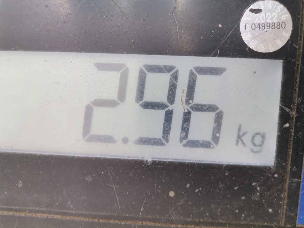 Фара левая MAZDA Mazda 6 GH 2007-2012