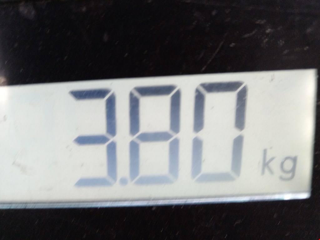 Бампер передний KIA Seltos I 2019-н.в.