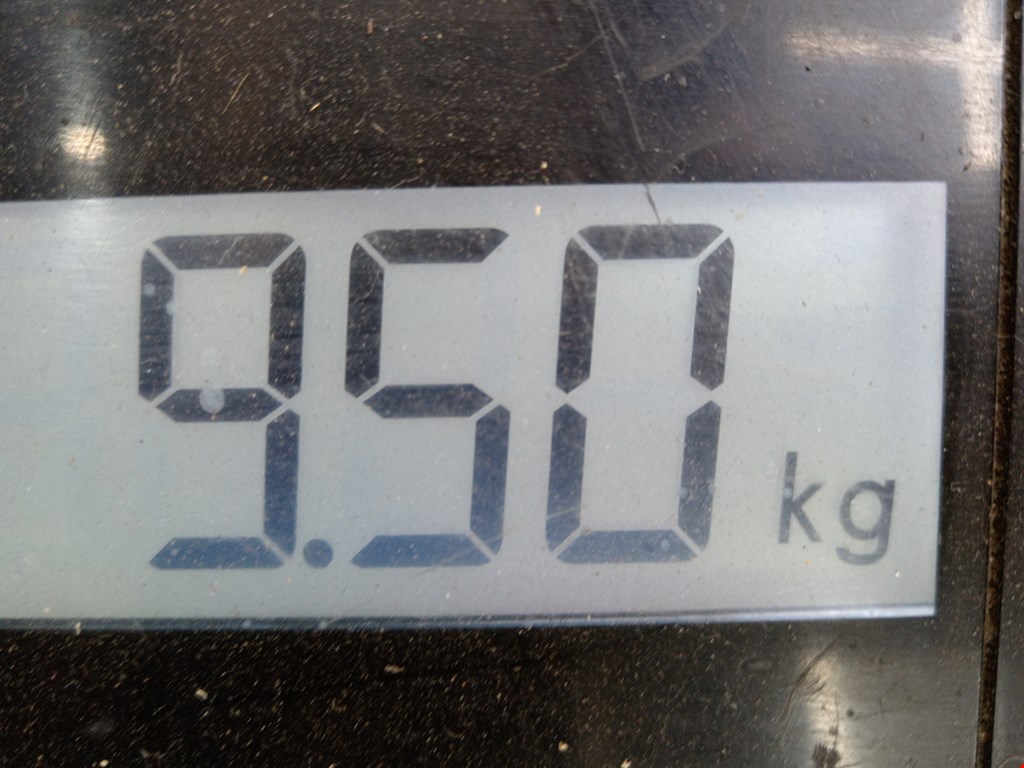 Лонжерон передний правый BMW Z3 E36 1996-2002