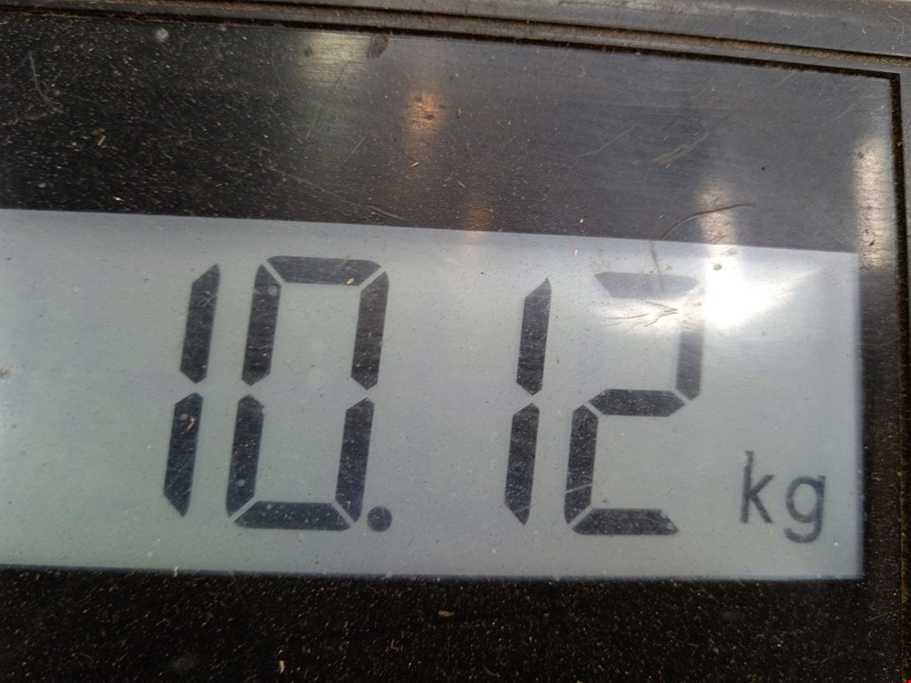 Лонжерон передний левый BMW Z3 E36 1996-2002