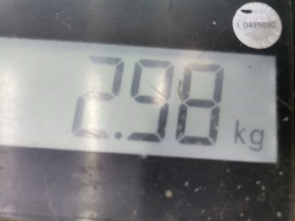 Вентилятор радиатора основного NISSAN Almera N16 2000-2006