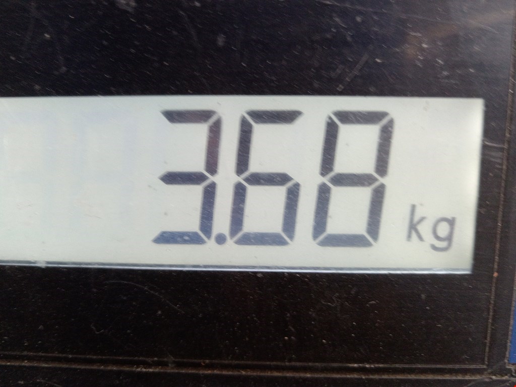 Бампер передний GAZ ГАЗель-бизнес 2010-н.в.