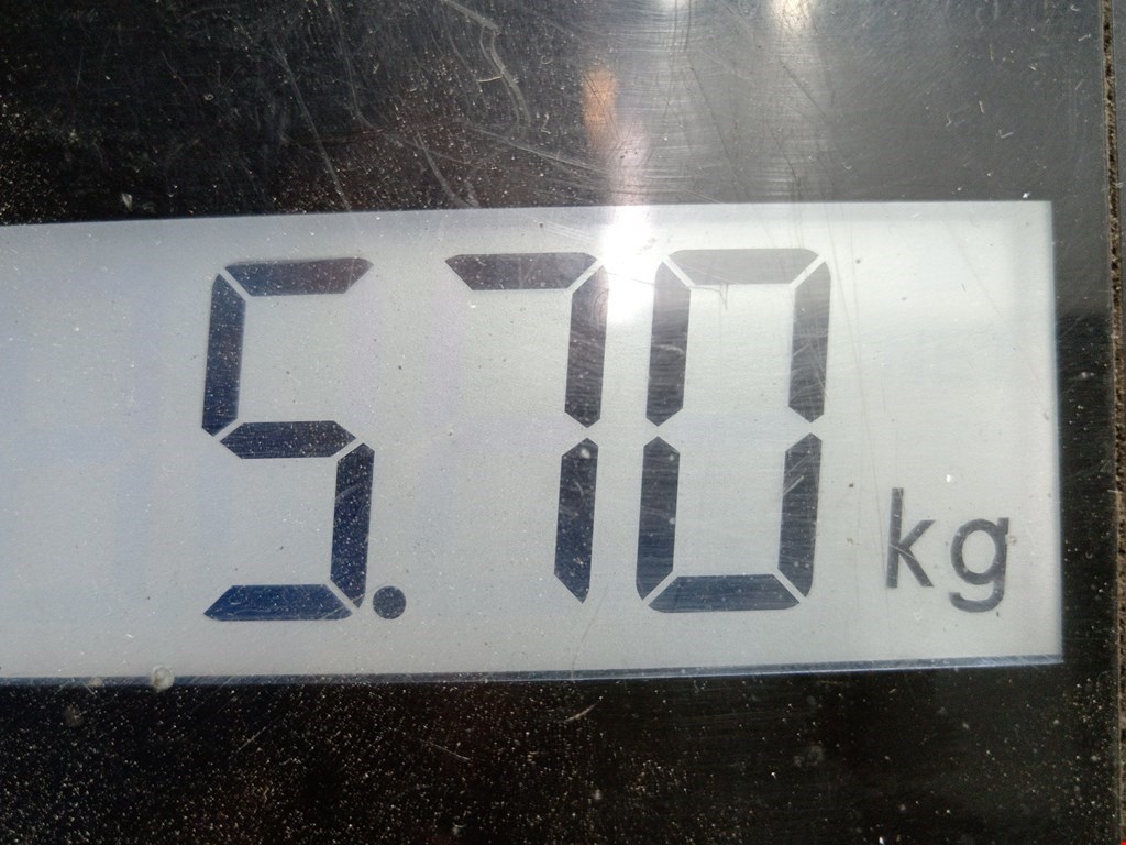 Полуось (привод, приводной вал) задняя левая BMW 5er 5 серия E39 1995-2004