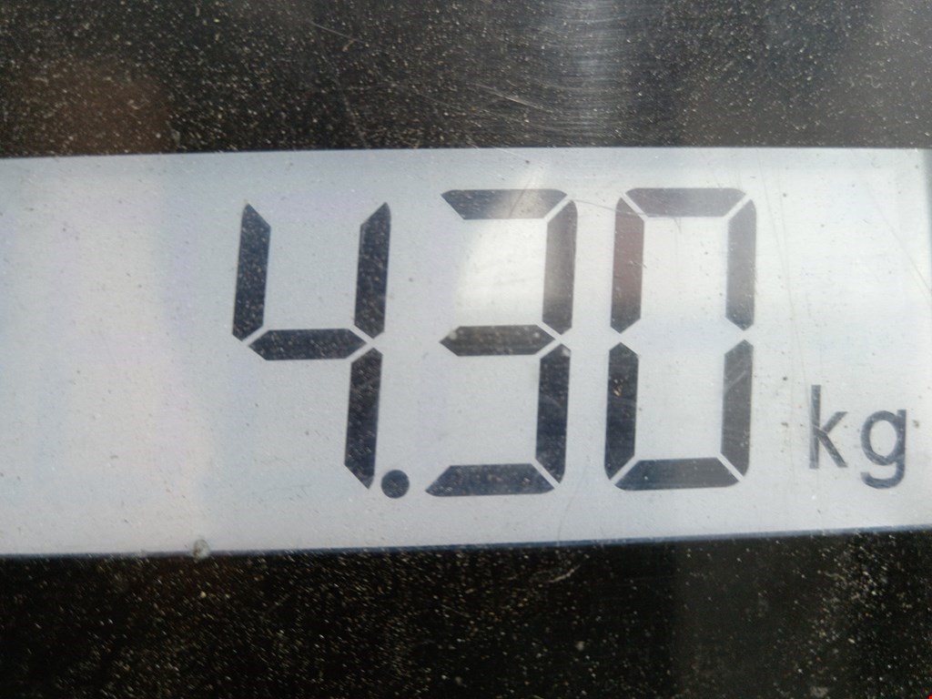 Интеркулер (радиатор интеркулера) SEAT Toledo 2004-2009