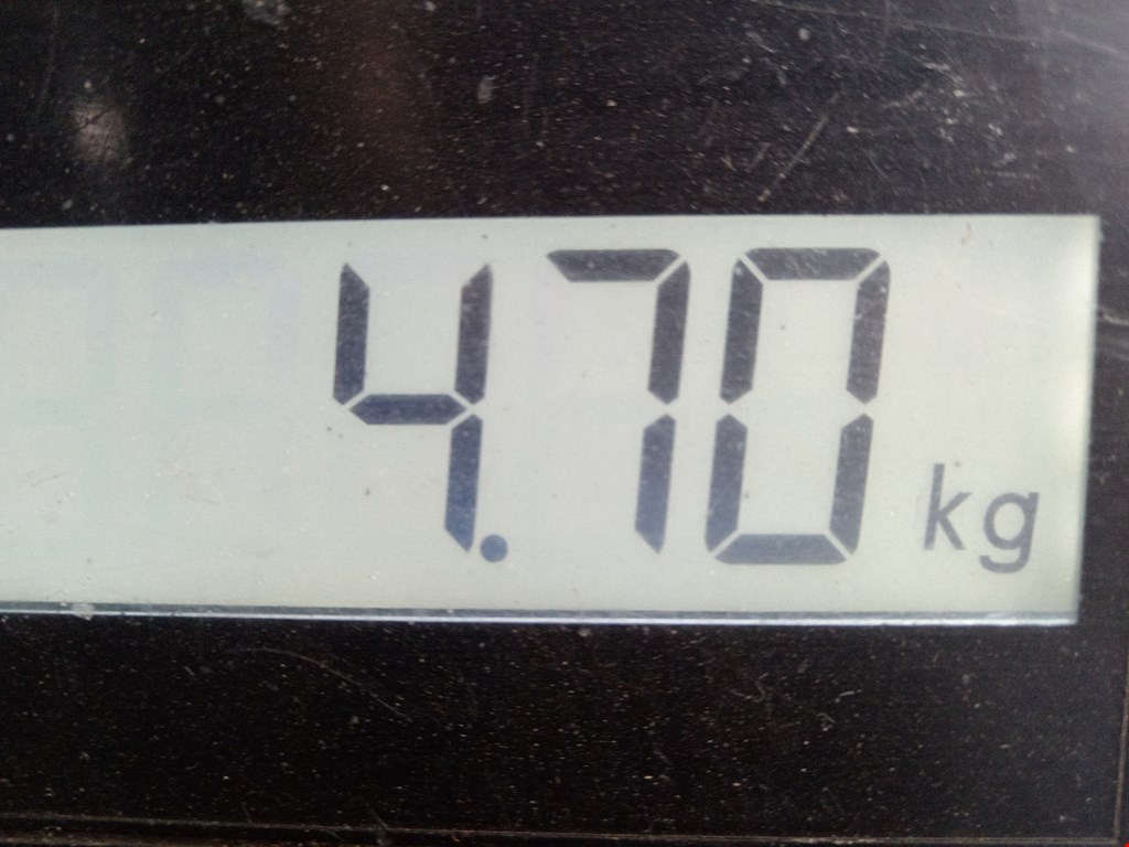 Бампер задний VOLKSWAGEN Passat CC 2008-2017