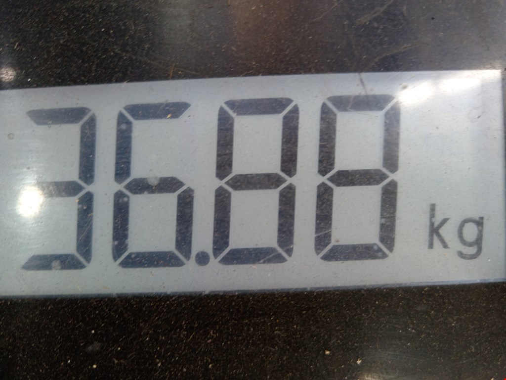 МКПП (Механическая коробка переключения передач) RENAULT Scenic II 2003-2010