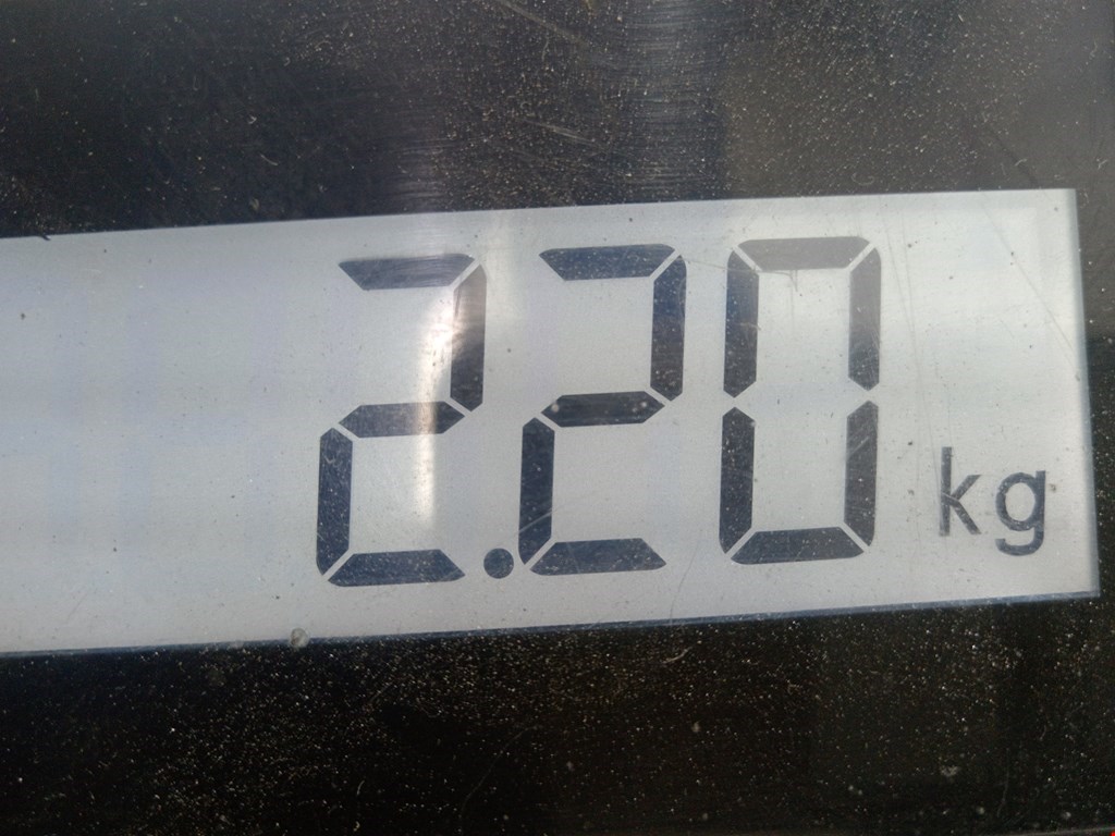 Коллектор впускной RENAULT Megane II 2002-2009