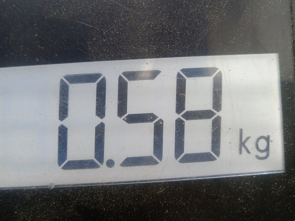 Патрубок интеркулера RENAULT Scenic III 2010-2015