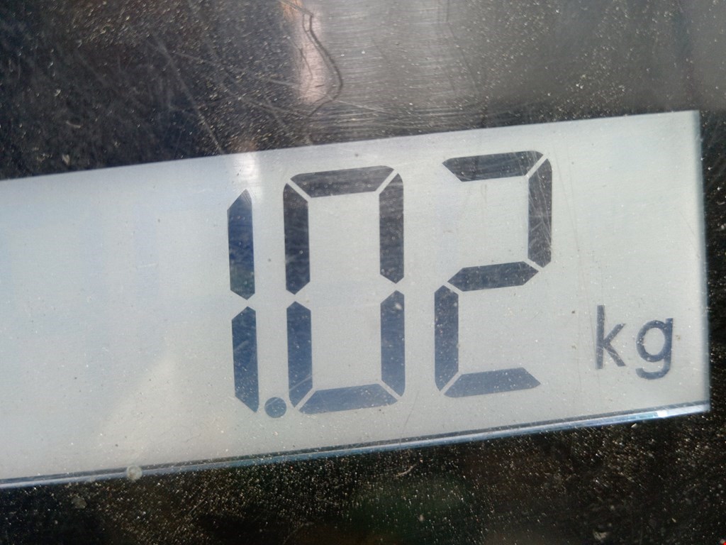 Заслонка дроссельная электрическая RENAULT Megane II 2002-2009