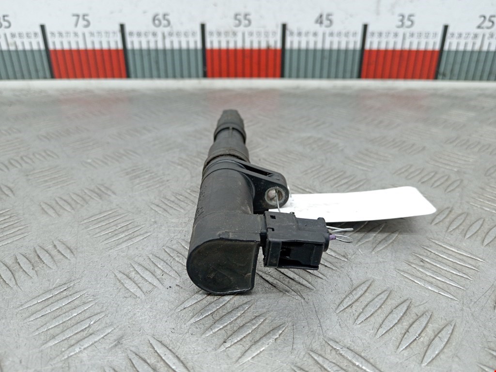 Катушка зажигания RENAULT Megane II 2002-2009