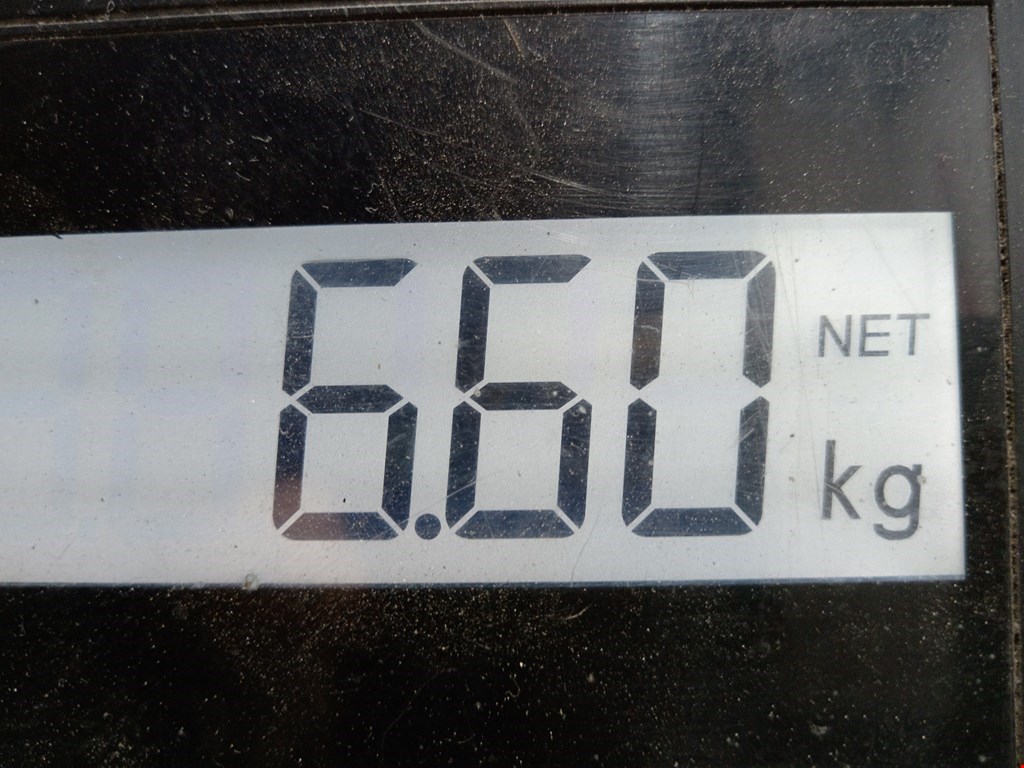 Шестерня коленвала (шкив) BMW 5er 5 серия E39 1995-2004