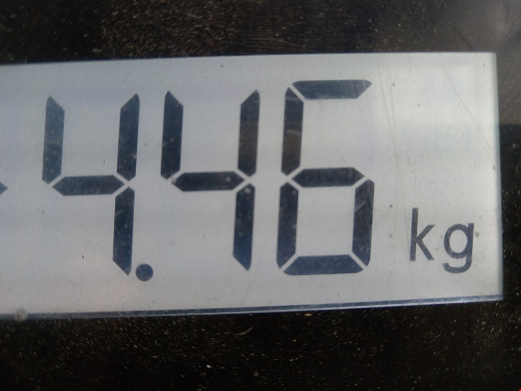 Коллектор выпускной RENAULT Master 1998-2010