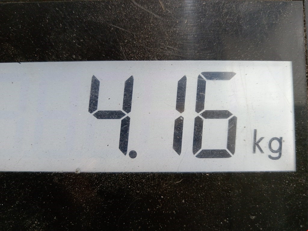 Коллектор выпускной BMW 5er 5 серия E60/E61 2003-2010