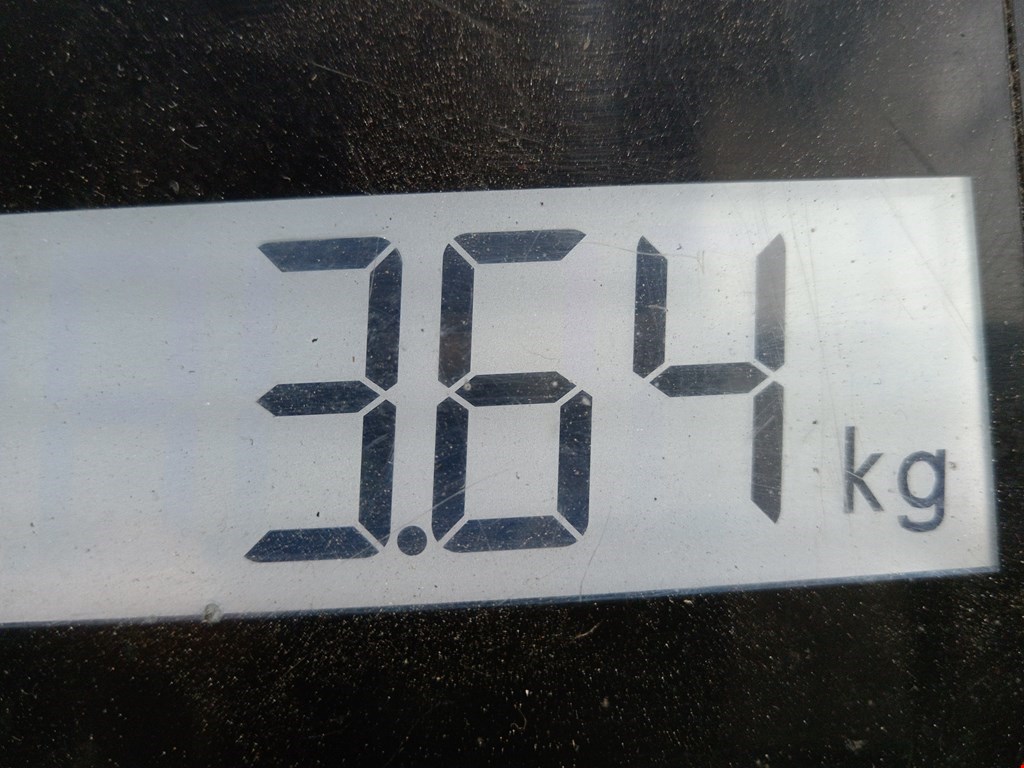 Насос гидроусилителя руля (ГУР) FORD Transit 2006-2014