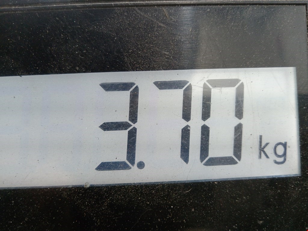 Стартер VOLKSWAGEN Transporter T5 2003-2015