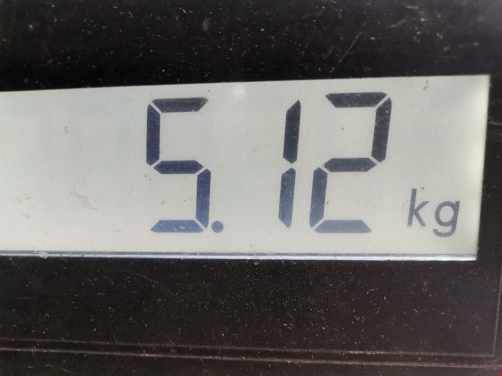 Бампер задний RENAULT Captur II 2019-н.в.