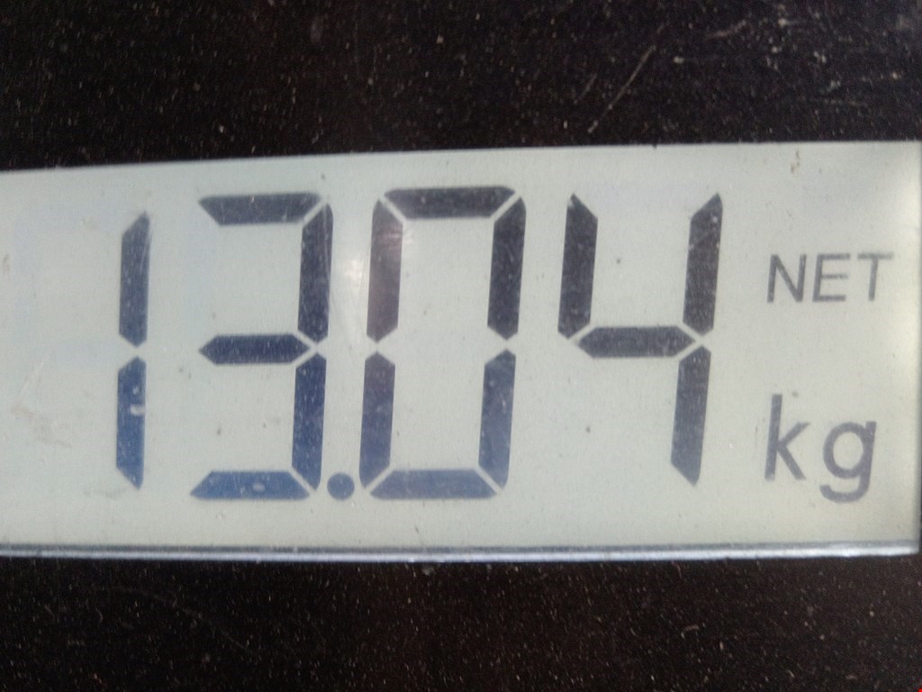 Люк в сборе электрический BMW X5 E53 1999-2006