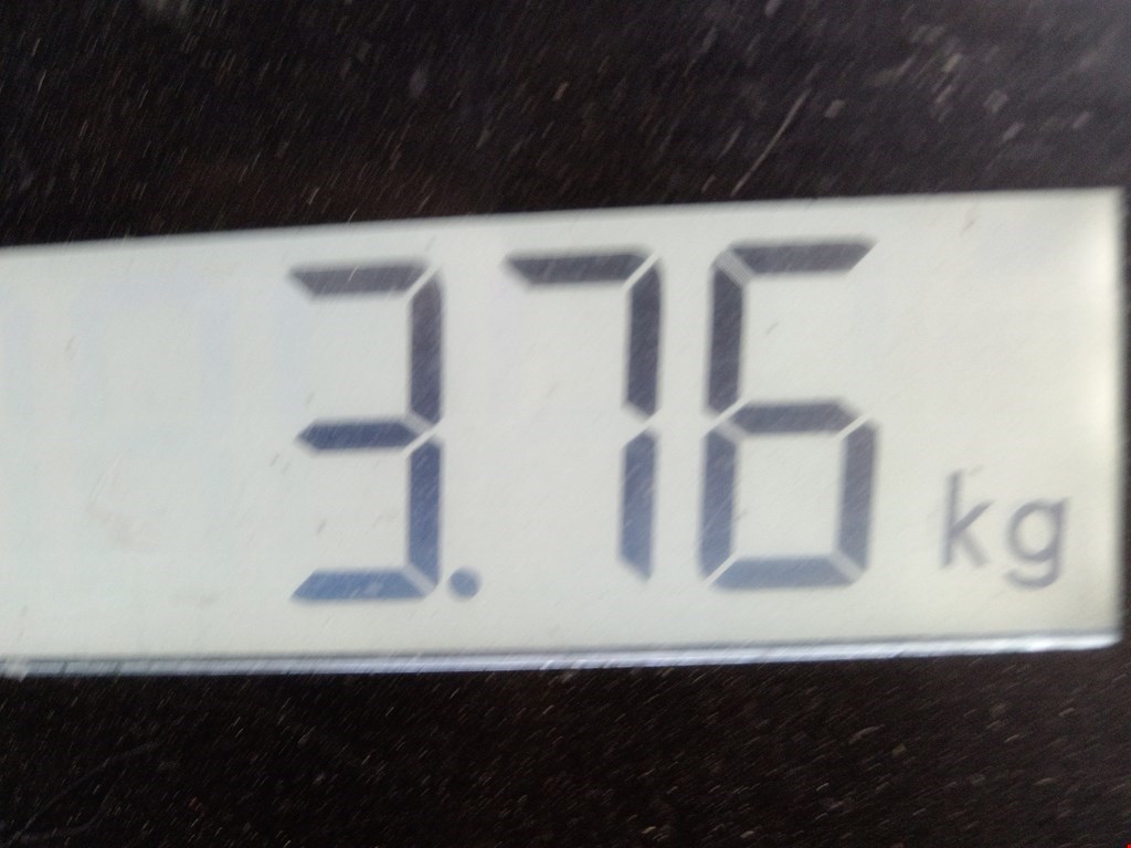 Бампер задний SKODA Octavia A7 2013-2020