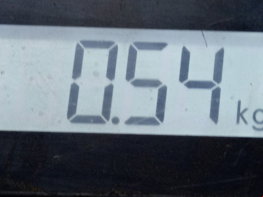 Решетка в бампер FORD Focus III 2011-2019