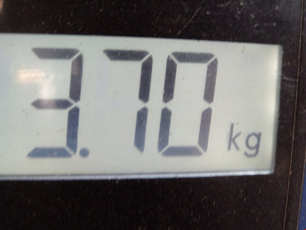 Бампер задний NISSAN Qashqai J10 2006-2013