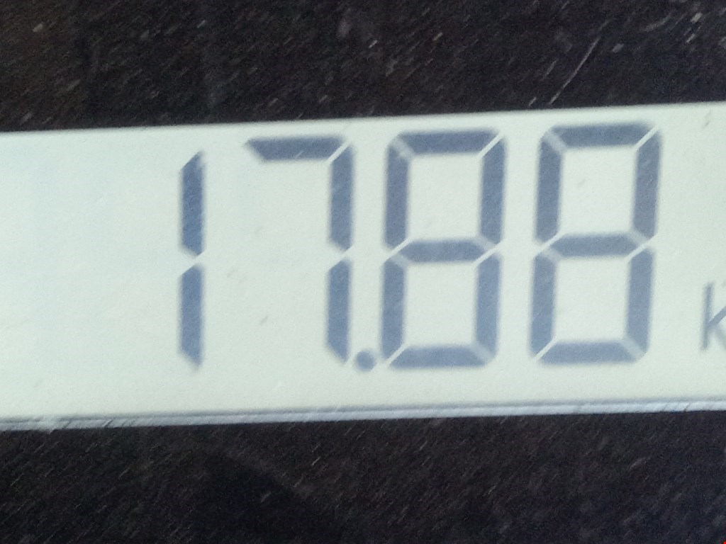 Люк в сборе электрический BMW 7er 7 серия E65/E66 2001-2008