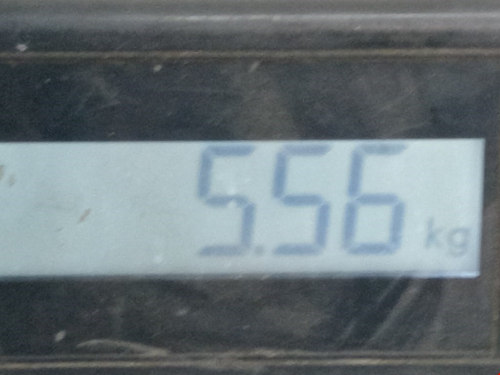 Стекло заднее HYUNDAI Accent II +ТАГАЗ 2000-2012