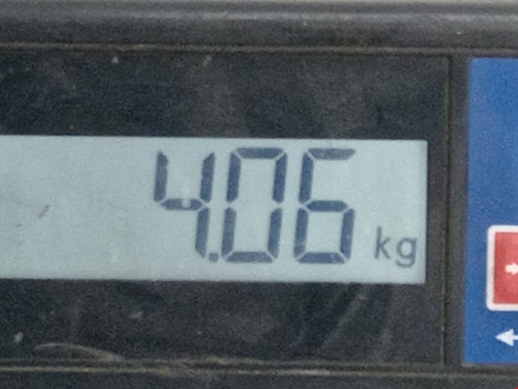 Стекло заднее SUZUKI SX4 2006-2014