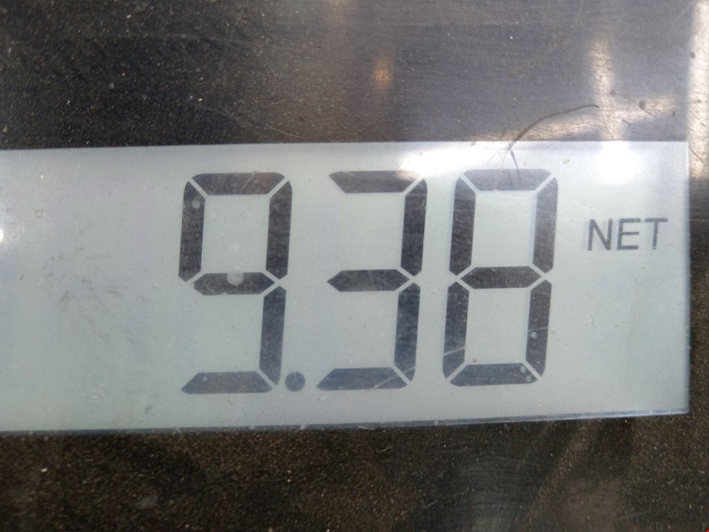 Стекло заднее BMW 5er 5 серия E39 1995-2004