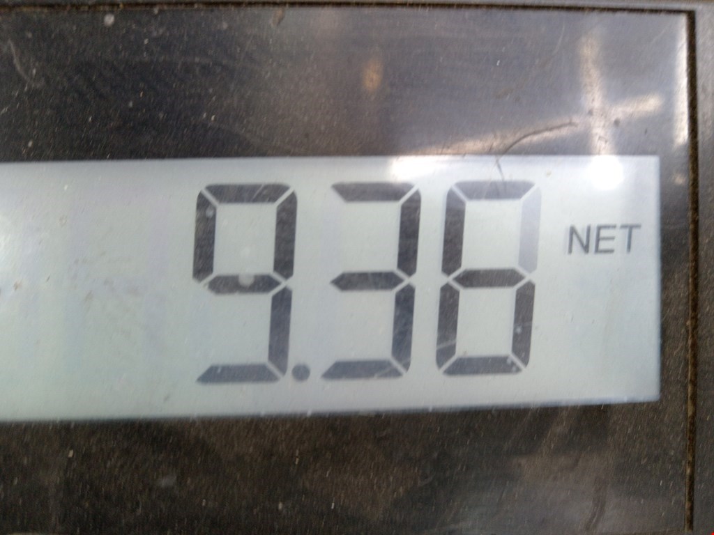 Стекло заднее BMW 5er 5 серия E39 1995-2004