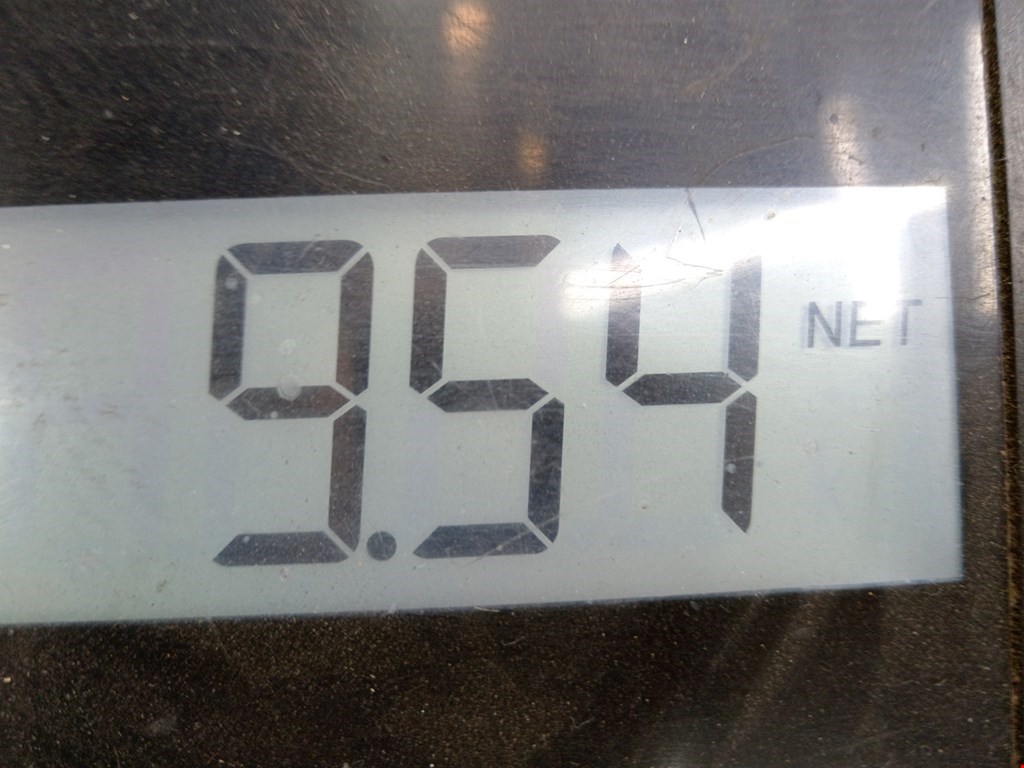 Стекло заднее BMW 5er 5 серия E39 1995-2004