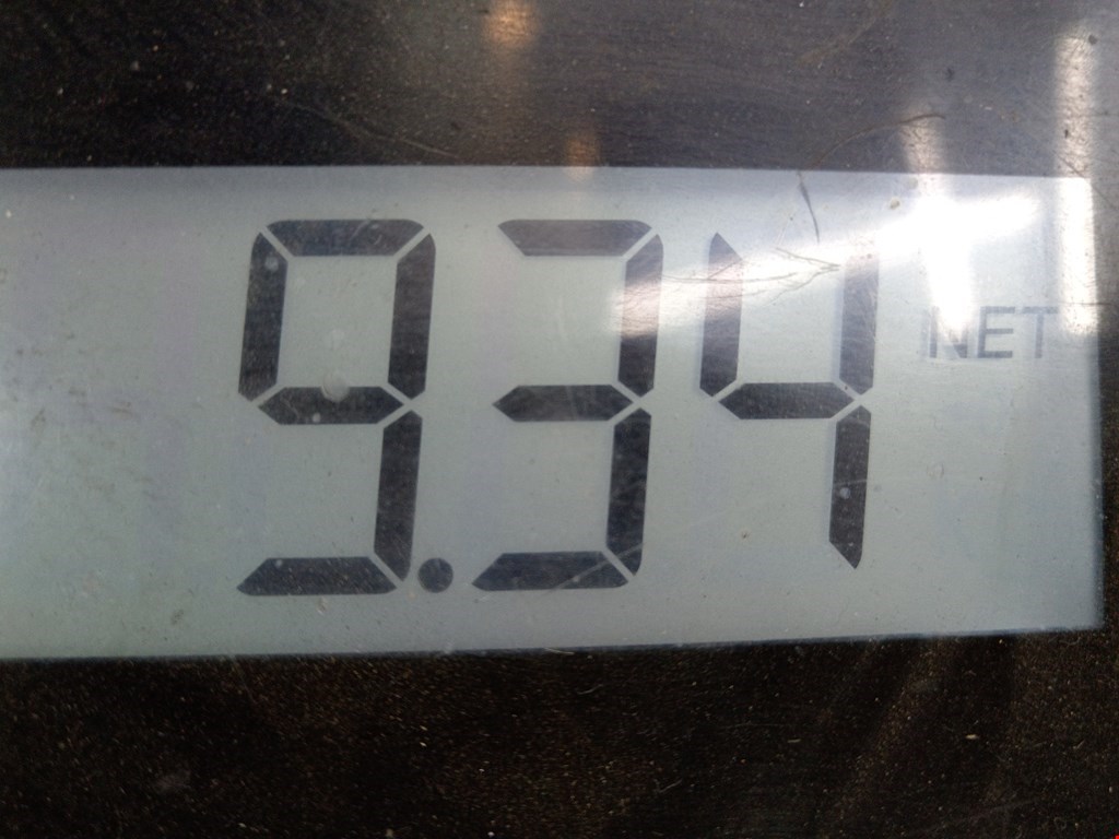 Стекло заднее BMW 5er 5 серия E39 1995-2004