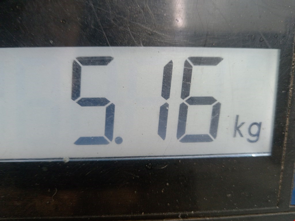 Компрессор кондиционера (системы кондиционирования) VOLKSWAGEN Golf V 2003-2009