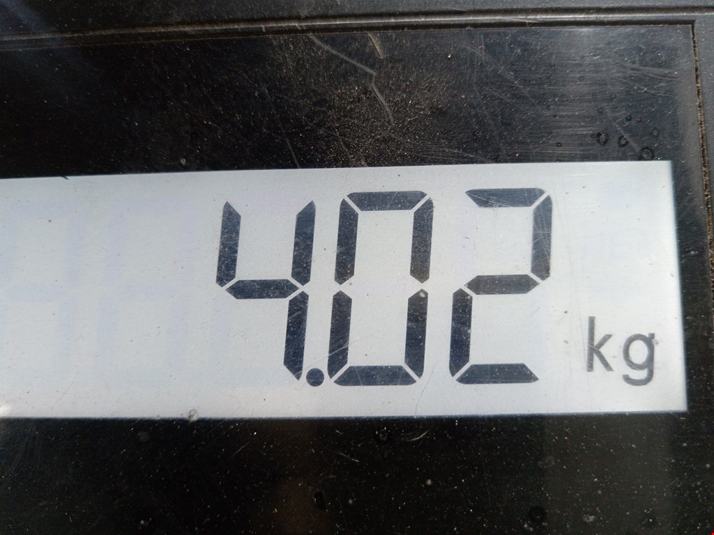 Фара левая MERCEDES-BENZ S-Class IV W220 1998-2005