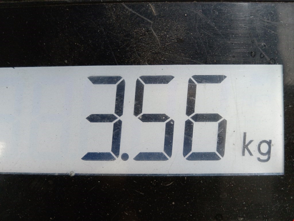 Блок ABS (насос) MERCEDES-BENZ S-Class IV W220 1998-2005