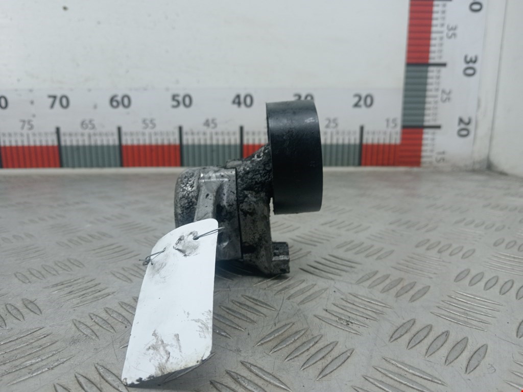 Натяжитель ремня генератора (приводного поликлинового ремня Mercedes S-Class (W220) (1998-2005)