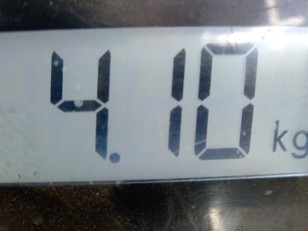 Спойлер BMW X5 E70 2007-2013