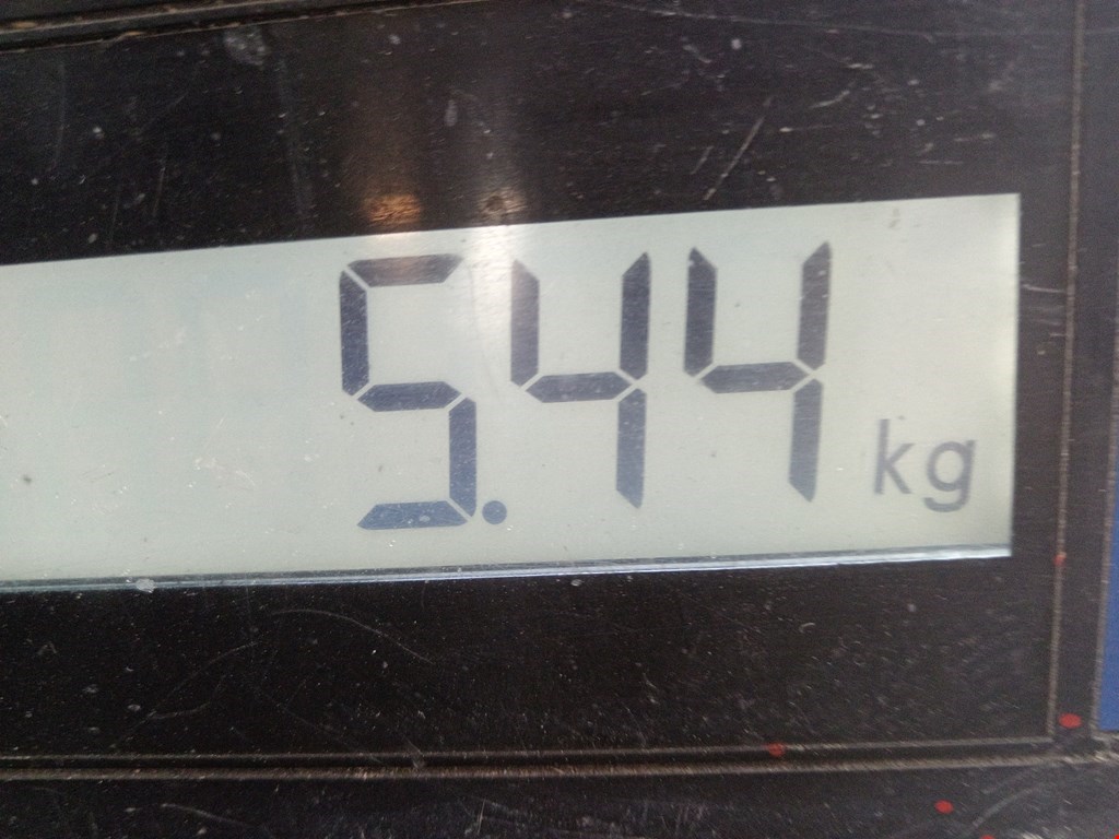 Бампер передний RENAULT Laguna 2001-2007