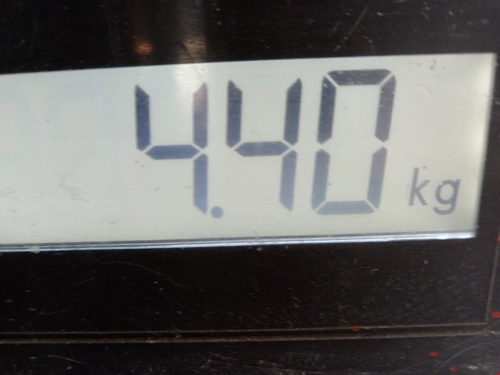 Бампер передний OPEL Astra H/Family 2004-2015